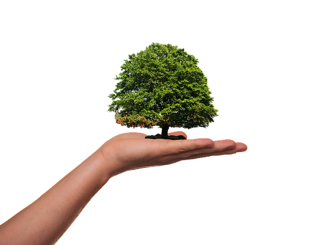 eco-friendly-toilet-paper-and-hand-sanit-640x480-92216897.png