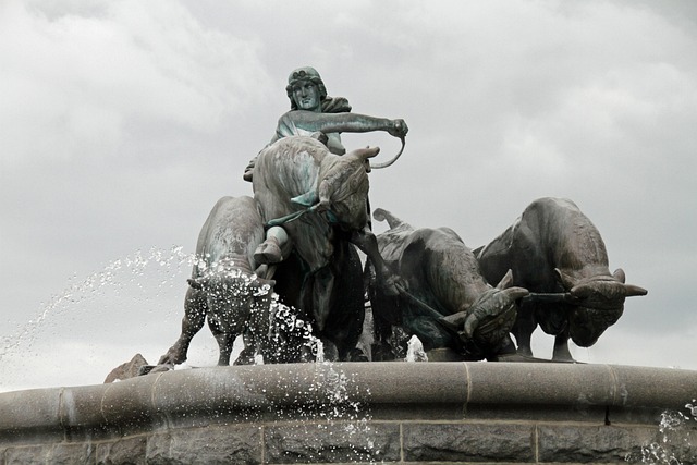 Emergency Water Extraction in Fort Collins: Protect Your Home Now