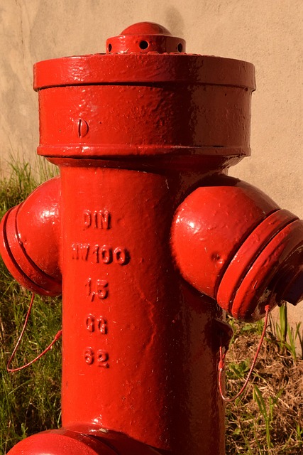 Emergency Water Extraction Fort Collins CO
