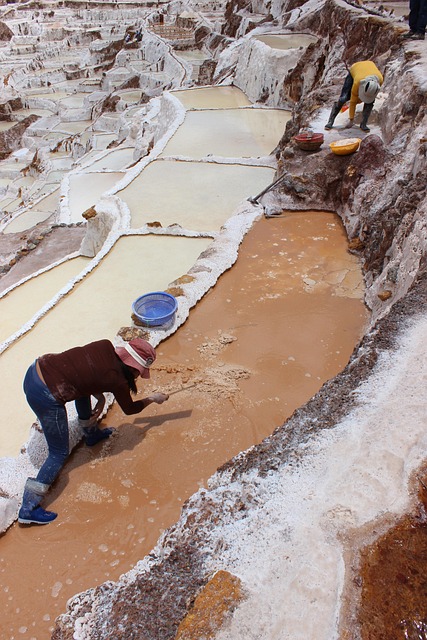 Get Same-Day Quotes for Emergency Water Extraction Fort Collins CO