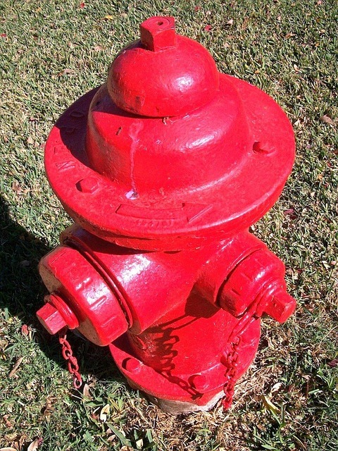emergency-water-extraction-mckinney-tx-640x480-76786171.jpeg