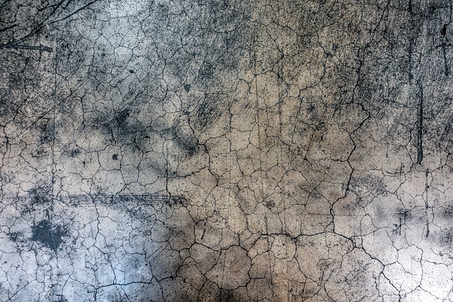 Fix Water Damaged Wood Floor Fort Collins CO