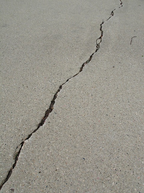 Fix Water Damaged Wood Floor Fort Collins CO