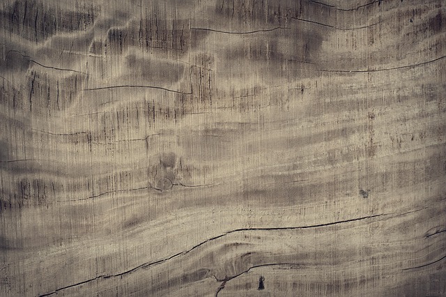 Top Water Damage Restoration Experts in Fort Collins CO