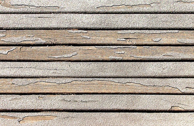 Fix Water Damaged Wood Floor: Fort Collins CO Expert Repair