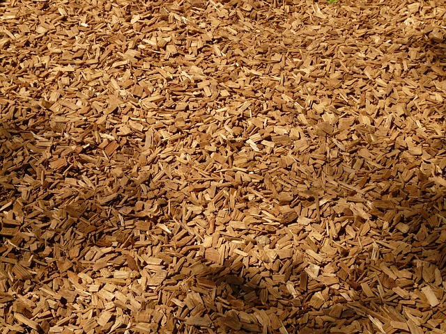 Fix Water Damaged Wood Floor Norfolk VA