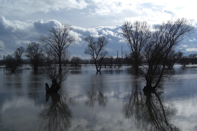 flood-damage-restoration-fort-collins-co-640x480-74119331.jpeg