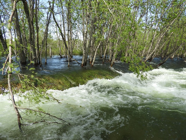 Flood Damage Restoration Fort Collins CO