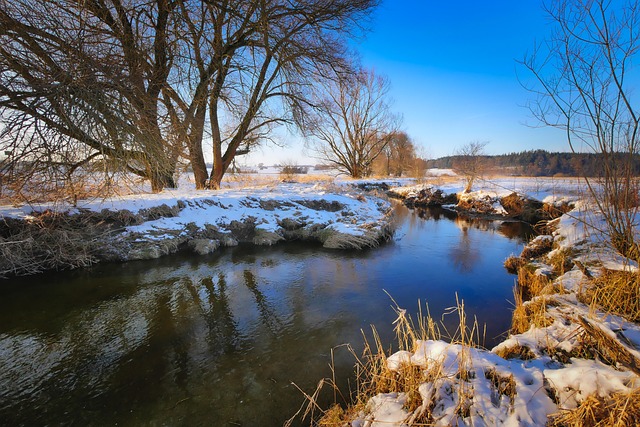 Expert Flood Restoration in McKinney TX: Essential Guide