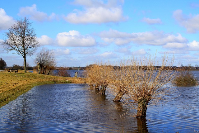 Flood Damage Restoration McKinney TX