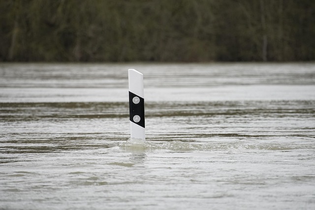 Flood Damage Restoration Norfolk VA