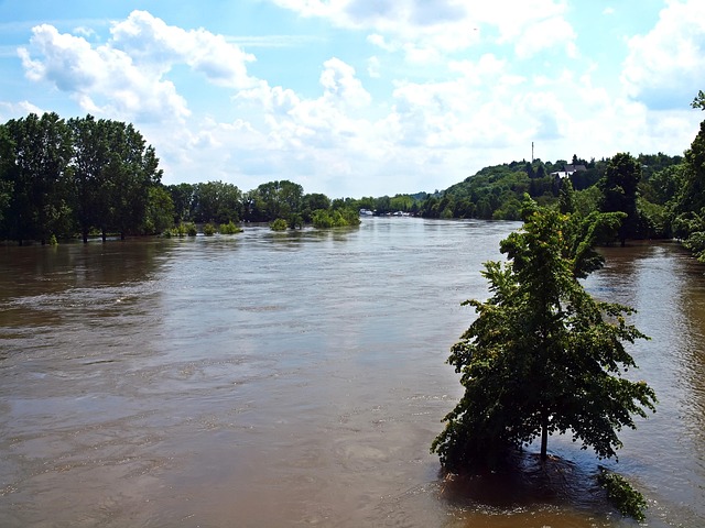 Flood Damage Restoration Norfolk VA