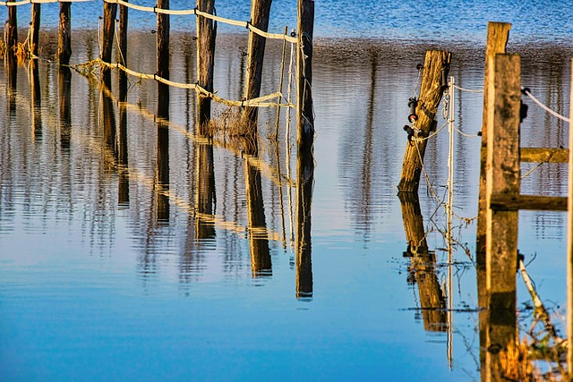 Flood Damage Restoration Norfolk VA