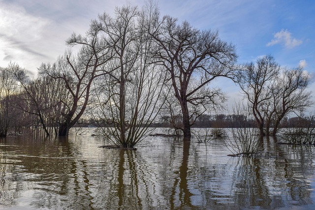 Flood Damage Restoration Pomona CA