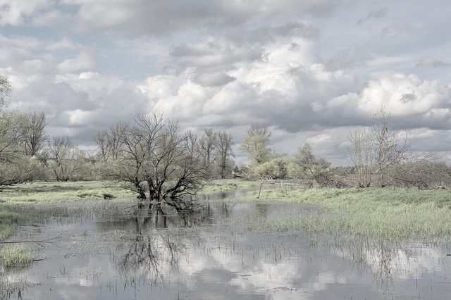 Flood Damage Restoration Pomona CA