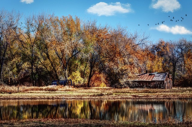 Flooded Carpet Water Removal Fort Collins CO