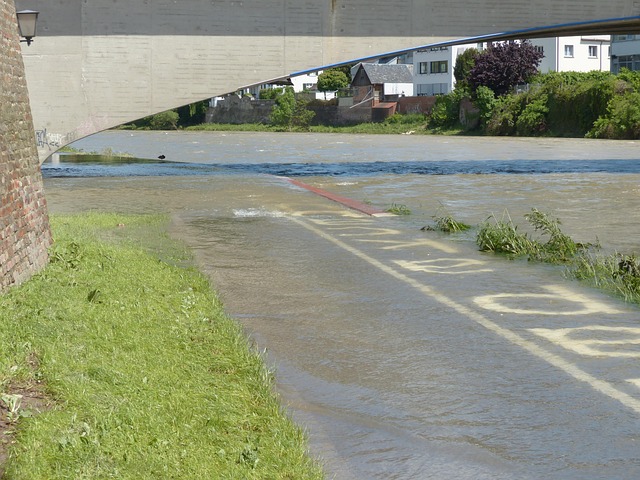 Flooded Carpet Water Removal Fort Collins CO