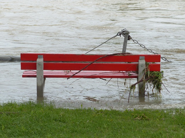 Flooded Carpet Water Removal Fort Collins CO: Quick, Professional Care