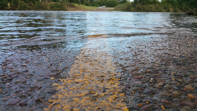Flooded Carpet Water Removal Fort Collins CO