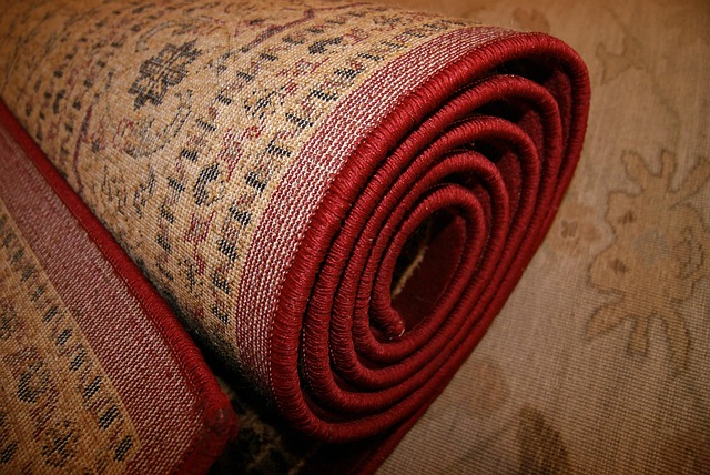 Flooded Carpet Water Removal Fort Collins CO