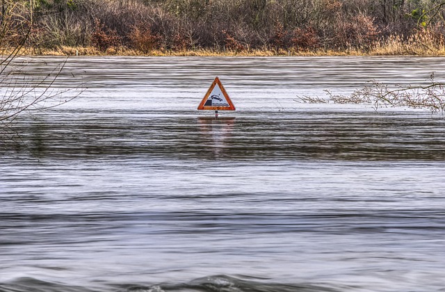 Flooded Carpet Water Removal Fort Collins CO