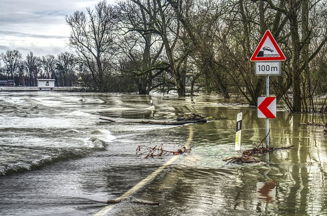 24/7 Emergency Flood Service: Norfolk VA’s Carpet Rescue Experts