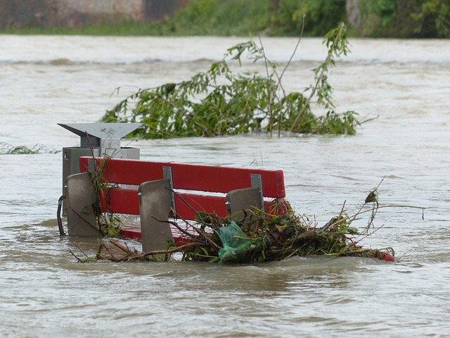 Flooded Carpet Water Removal: Pomona CA Emergency Services Guide