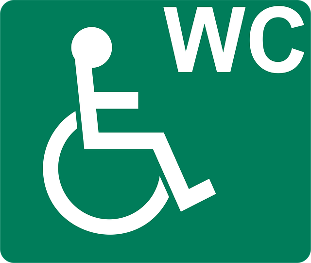 Handicap Portable Toilet