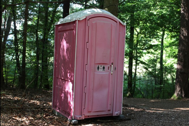 Handicap Portable Toilet