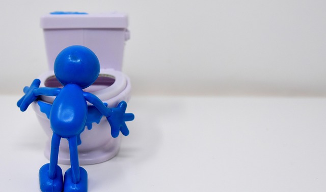 Handicap Portable Toilet
