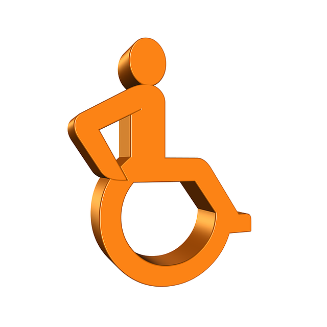 Handicap Portable Toilet