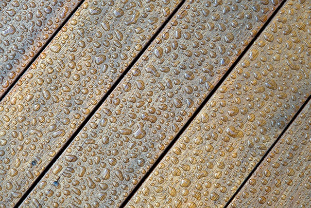 Hardwood Floor Drying Fort Collins CO