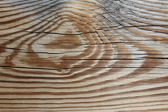 hardwood-floor-drying-norfolk-va-640x480-30520869.jpeg