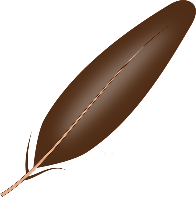 lightweight-640x480-16477008.png