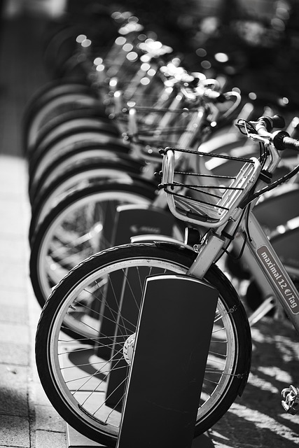 Unlock Event Elegance: Rent Luxury Portable Restrooms Nearby