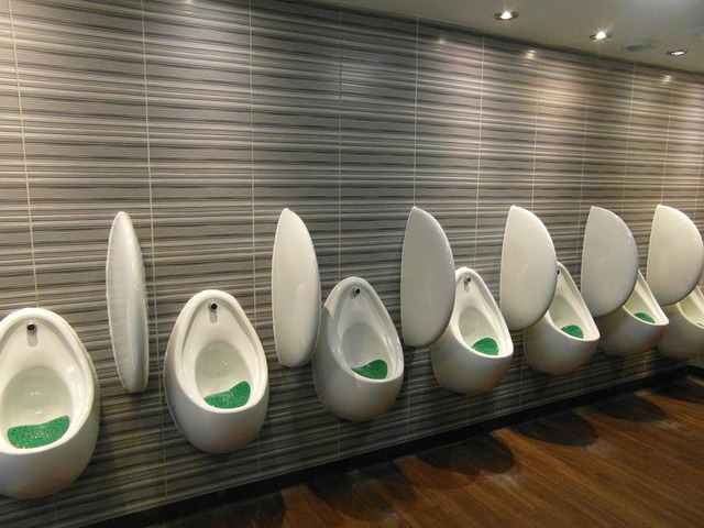 Luxury Portable Restrooms For Rent Near Me
