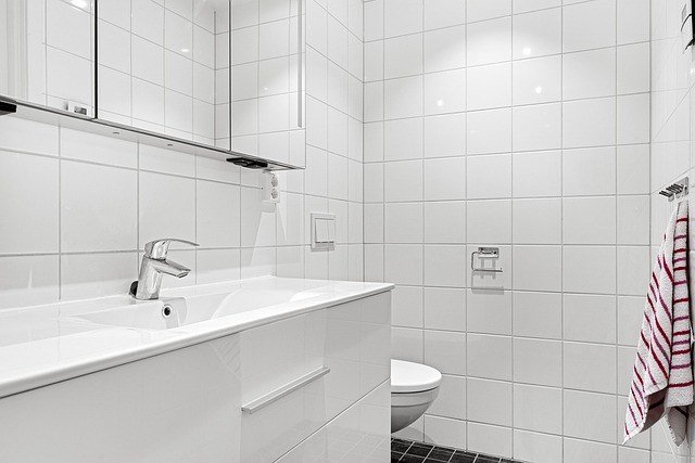 Unveiling New Orleans’ Hidden Luxury Toilet Rentals