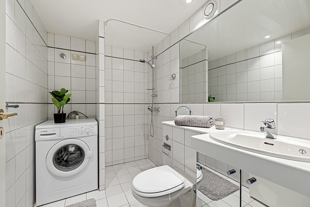 Luxury Portable Toilet Rental