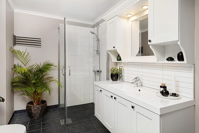 Luxury Portable Toilet Rentals: Comfort at Your Event Near Me