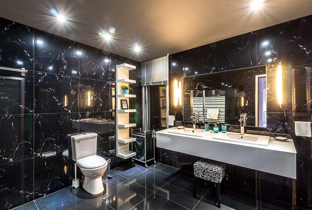 Luxury Portable Toilet Rentals Near You: Hygienic Convenience
