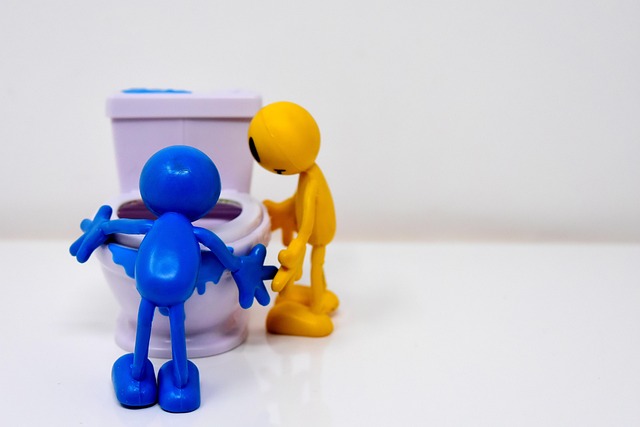 Unleash Comfort: Local Luxury Toilet Rentals Near You
