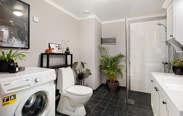 Luxury Portable Toilet Rental Near Me