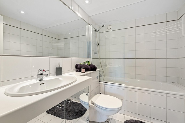 Luxury Toilets: Elevate Events, Delight Customers Near Me