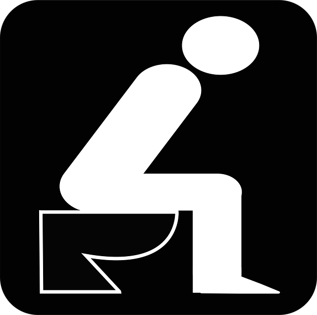 Luxury Restroom Trailer