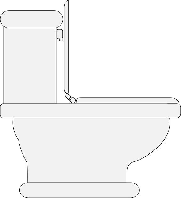 Luxury Restroom Trailer