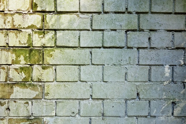 mold-removal-norfolk-va-640x480-46185507.jpeg