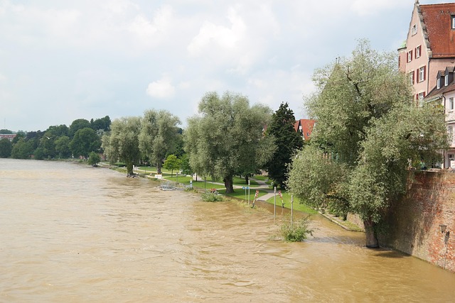 Water Damage Restoration Experts in Norfolk VA: Quick Relief