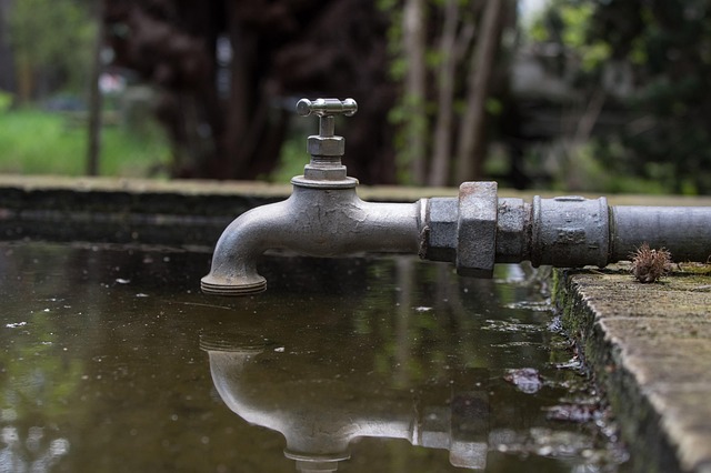 McKinney’s Water Damage Heroes: Burst Pipes to Home Restoration