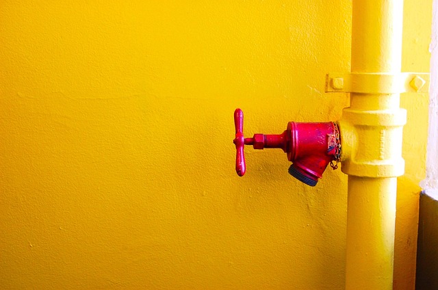 Pomona Plumbers: Burst Pipe Solutions for Water Damage Prevention