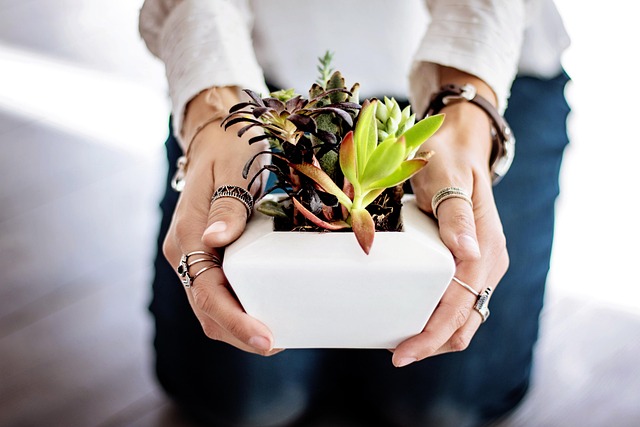 Port A Pot Rental